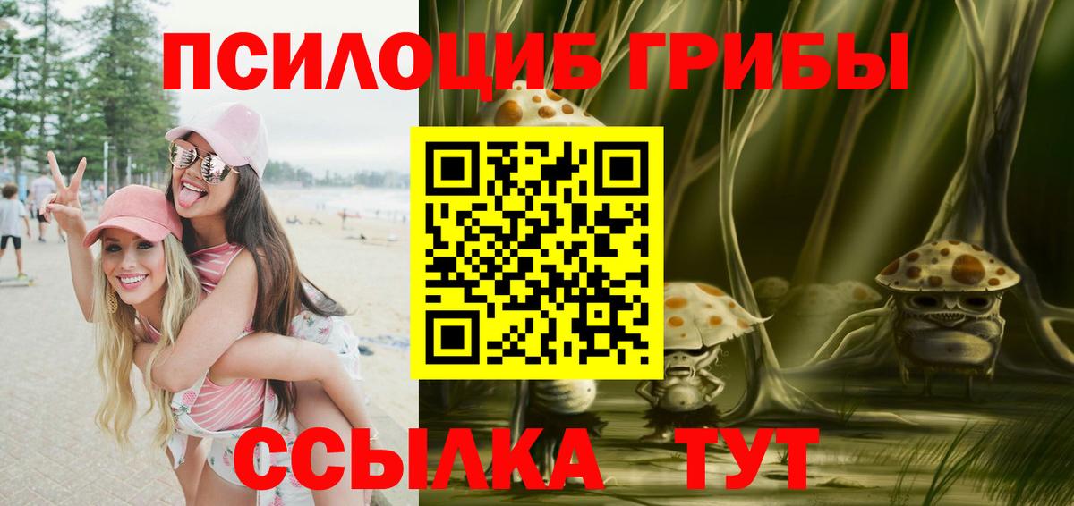 Галлюциногенные грибы MAGIC MUSHROOMS  Вход с VPN  Кудымкар  Псилоцибиновые грибы Psilocybine cubensis 