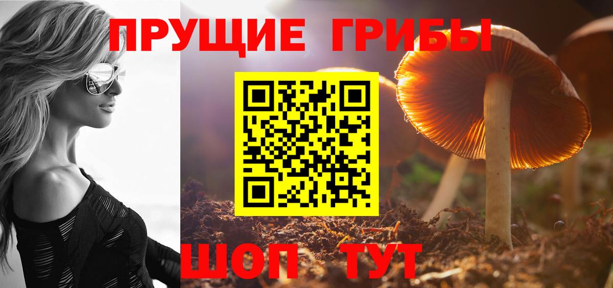 Галлюциногенные грибы прущие грибы Кудымкар
